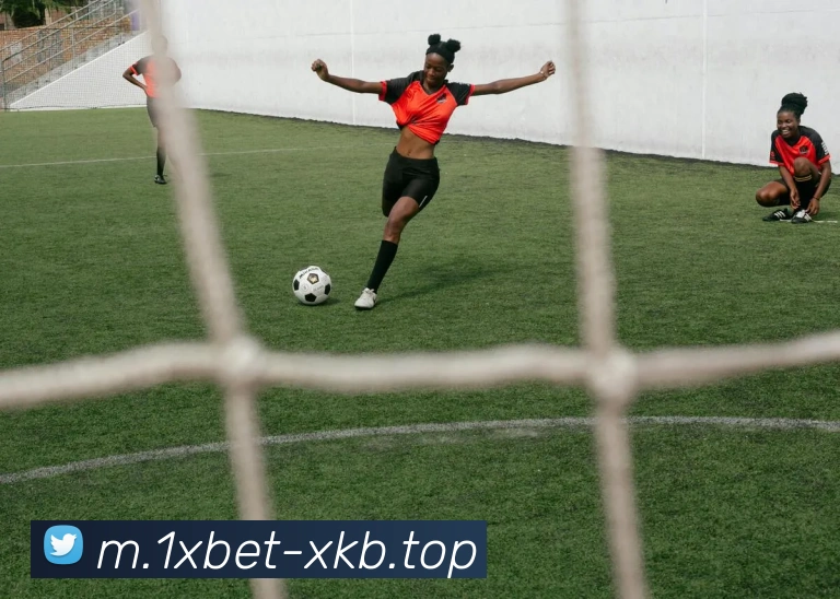 1xbet官网平台生态图